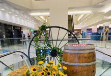 יריד שבועות בקניון הדר ירושלים: גבינות, יין ונגני בוזוקי