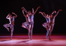 היכן נמצא חד הקרן ?