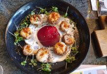 חדשות האוכל