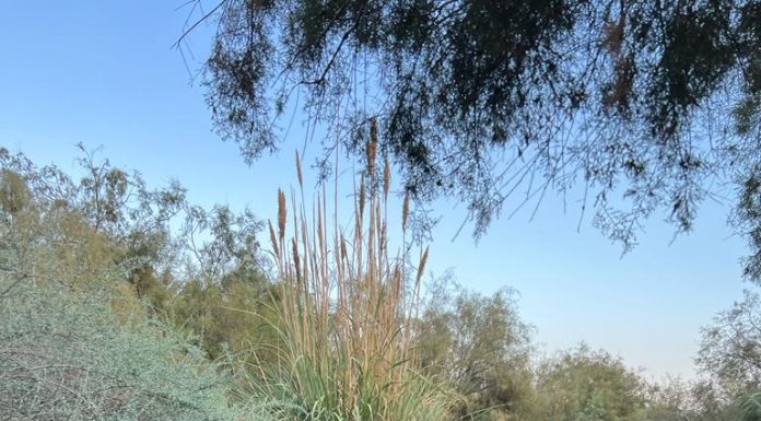 אקים ירושלים תוציא טרק חוויתי מיוחד להורים ולמתבגרים בשנה המיוחדת בחייהם