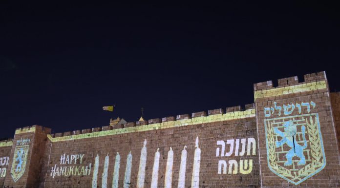 חמל האזרחי הירושלמי. אדיר שוורץ