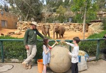 רגע לפני פסח – הילדים כבר בחופשה ויש המון פעילויות בגן החיות התנ"כי ובאקווריום ישראל