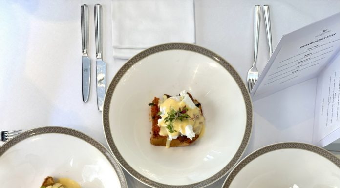 צילום אורטל חזן