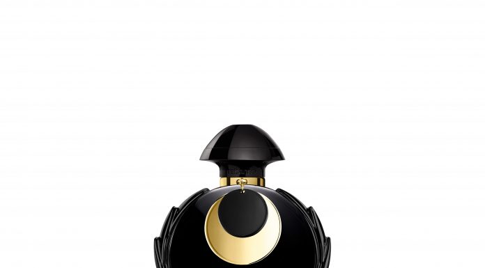 חדש על המדף