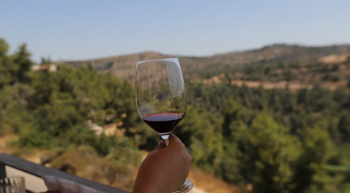 היישוב שחולם פינית וחי ישראלית