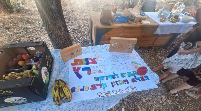 חגיגות שנתיים לפרויקט “המצילון” בקריית מנחם – מודל קהילתי ייחודי להצלת מזון בחסות קרן ירושלים ירוקה