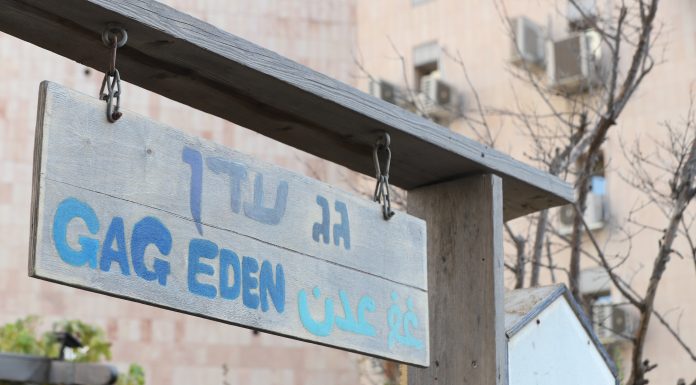 "גג-עדן": עשור לחלום שהפריח את "מדבר הגגות" הירושלמי
