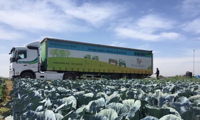 211 מיליארד שקלים ירדו לטמיון: עשור של אובדן מזון בישראל – ולצידו הפתרון