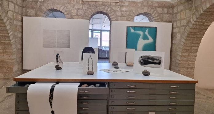 סדנת ההדפס קרדיט צילום תמר גיספאן