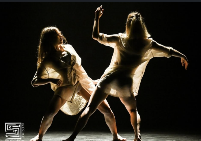 צילום מסך 2025-11-09 ב-18.07.17