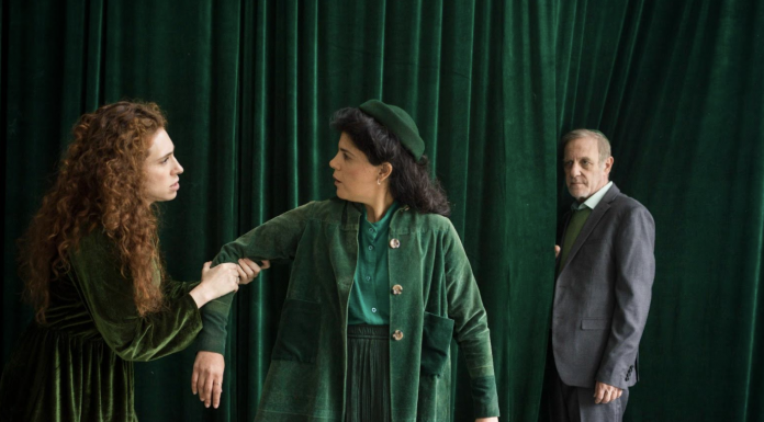 ההצגה האירוע. צילמה יעל אילן.jpeg