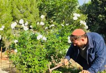 יום ההוקרה לפצועי צה״ל: זרקור על פצועי הנפש וההתמודדות שאינה נראית