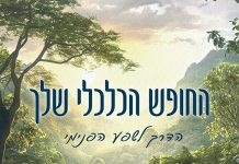 החופש הכלכלי שלך | לא עוד ספר על כסף