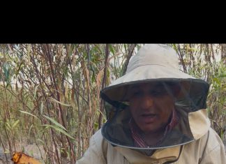 "עולמה המופלא של הדבורה" – סיפור קטן שמעניק השראה, בריאות וחוסן לגיל השלישי".יום שני 2/3 שעה 19:30 , דיור מוגן נוה עמית רמת אשכול כניסה חופשית לתושבי האזור בהרשמה מראש!