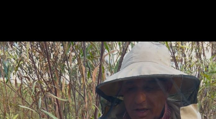 "עולמה המופלא של הדבורה" – סיפור קטן שמעניק השראה, בריאות וחוסן לגיל השלישי".יום שני 2/3 שעה 19:30 , דיור מוגן נוה עמית רמת אשכול כניסה חופשית לתושבי האזור בהרשמה מראש!