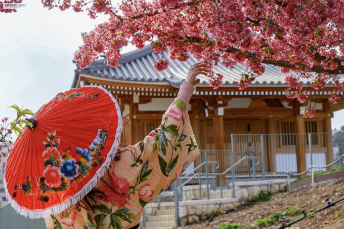 צילום מסך 2026-02-04 ב-8.23.09