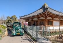 אביב של התחדשות בגן הבוטני בירושלים: פריחות מיוחדות, רכבת חדשה וחוויה לכל המשפחה