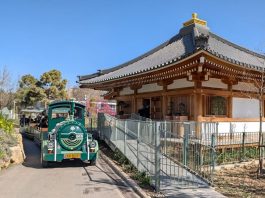 אביב של התחדשות בגן הבוטני בירושלים: פריחות מיוחדות, רכבת חדשה וחוויה לכל המשפחה