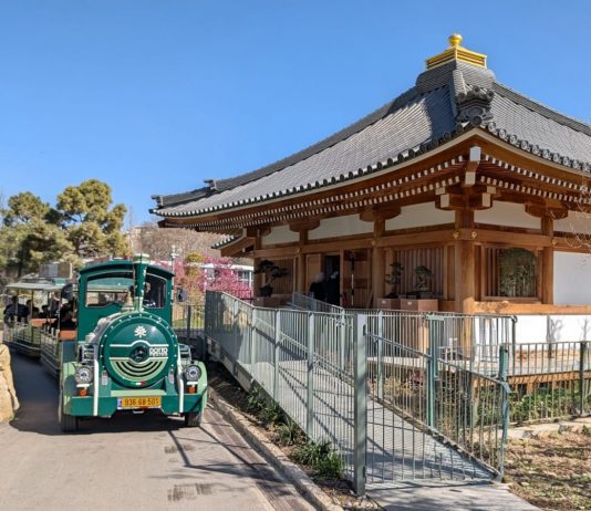 אביב של התחדשות בגן הבוטני בירושלים: פריחות מיוחדות, רכבת חדשה וחוויה לכל המשפחה