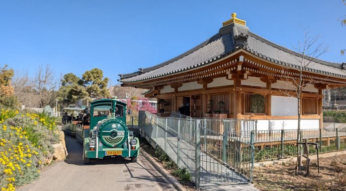 אביב של התחדשות בגן הבוטני בירושלים: פריחות מיוחדות, רכבת חדשה וחוויה לכל המשפחה