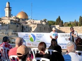 יום הסיסים הבינלאומי צוין בכותל המערבי: חגיגה לציפורים ששבות לירושלים כבר אלפי שנים