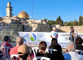 יום הסיסים הבינלאומי צוין בכותל המערבי: חגיגה לציפורים ששבות לירושלים כבר אלפי שנים