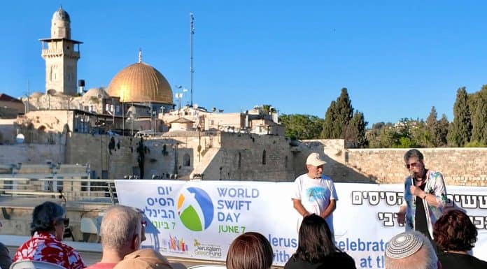 יום הסיסים הבינלאומי צוין בכותל המערבי: חגיגה לציפורים ששבות לירושלים כבר אלפי שנים