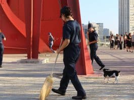 פסטיבל מנופים 2026: אמנות עולה לבמה ומאירה את שברי התקופה