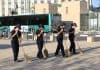 מ"שירת היחמור הפרסי" ועד "ד' אמות": רגעי השיא של פסטיבל מנופים