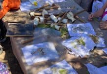 פסטיבל "ירוק בפנים ובחוץ" – חגיגת טבע וקיימות ירושלמית לכל המשפחה יוצאת לדרך זו השנה השישית.