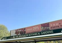 סתיו של התחדשות: דיירי נווה עמית רמת אשכול יצאו למסע בין פריחות מרחבי העולם