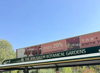 סתיו של התחדשות: דיירי נווה עמית רמת אשכול יצאו למסע בין פריחות מרחבי העולם