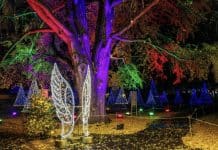 Winter is coming! פריז, רומא, ברלין, לונדון ועכשיו ירושלים! WINTER DREAMS חוויית האורות הבינלאומית שסחפה את העולם מגיעה לגן הבוטני בירושלים! גדולה יותר | מוארת יותר | מפתיעה יותר